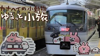 【運行終了】カナヘイの小動物 ゆるっと小旅 西武鉄道で行く川越旅号 1月6日をもってキャンペーン終了 10000系10112編成 VVVFインバーター制御車