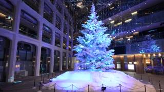 [Official Video] WHITE KITTE Christmas tree lights up