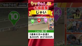 【６万馬券的中】荒れる重賞サンタアニタトロフィーを３連単２頭軸総流しで攻略【じゃい】