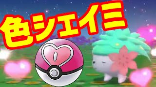 【ポケモンBDSP】色違いシェイミをラブラブボールに入れたい！【ダイパリメイク】