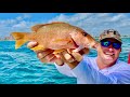 Dog SNAPPER Spearfishing! {Catch Clean Cook} Whole Snapper 2 ways