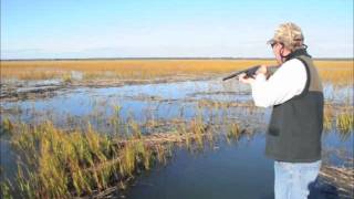 Marsh Hens Nov 2011.mov