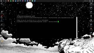 Computer Networks Programming Assignment 2 Demos