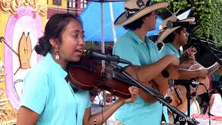 El Trío Balcón Huasteco toca La Presumida y el Aguanieve desde Xilitla SLP