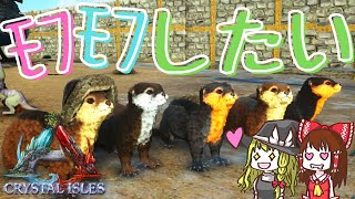 激カワモフモフのカワウソをテイム アーク界のアイドル再臨！【ARK Survival Evolved】ゆっくりゲーム実況　Part33