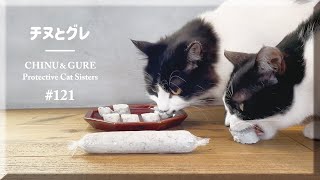 猫が喜ぶ魚肉ソーセージの作り方／調味料・添加物ゼロ！／ #猫 #保護猫 ＃チヌとグレ 【121】