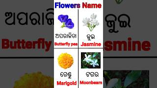 flowers 🌺🌹🌻 name.. #kidzworldodia #odiavarnamala #a_aa #flowersname #flowers #odia #odia_english