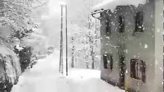 Nevicata intensa a Tarvisio, 30 centimetri di neve fresca. Nord Est Italia