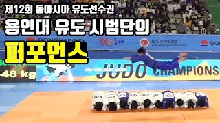 제12회 동아시아유도선수권대회 개회식 용인대 유도시범단 시범 퍼포먼스 _the 12th east aisan judo championships opennig ceremony