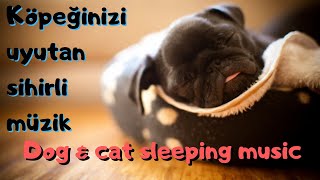 Köpekleri uyutan müzik Köpek kedi uyku müziği. / Relax Dog and cat sleeping music