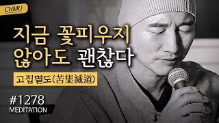 ☯ 귓전명상대학 1278일차 수행정진 + \