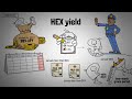 what is hex animated unveiling the power of t shares