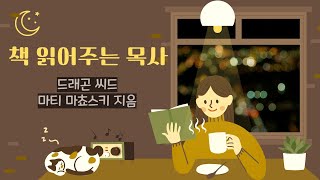 유튜브 선교 | 오디오북 | 드래곤씨드 - 3