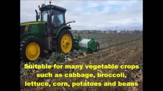 Agrifarm Implements ACM/400 Broadacre Mulcher in vegetable remains