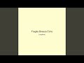 Fragile Breeze Echo