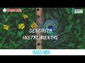 SENORITA INSTRUMENTAL REMIX Bass mix,shawn mendas,camilo cabello,studio lions,album presents