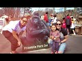 Zoo What Makes You Happy at Franklin Park Zoo's Gorilla Grove