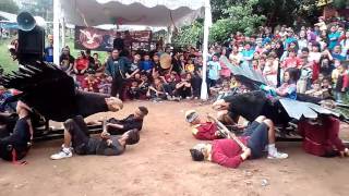 Atraksi manuk benjang di bojong koneng bandung 1