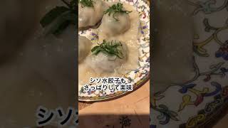 【#武蔵小杉絶品グルメ】餃子マニア🥟 #癒しのグルメ #japanesefood #shorts