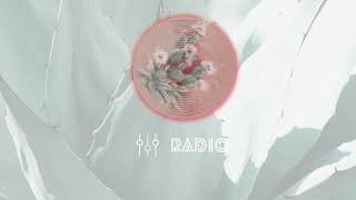 Cactus Lyrics Beam Elyrics Net