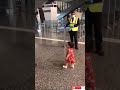 toddler ask airport security if she can hug her aunt😘😍 in adorable video viral media