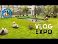 ÉNORME VLOG VISITE EXPOSITIONS AVICOLE