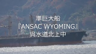 準巨大船『ANSAC WYOMING』呉水道北上中