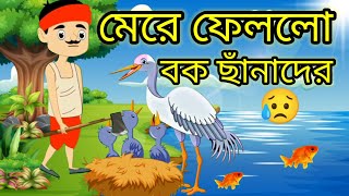 তবে কি কৃষক মেরে ফেললো বক ছাঁনাদের |bangla cartoon |bangla noton golpo।