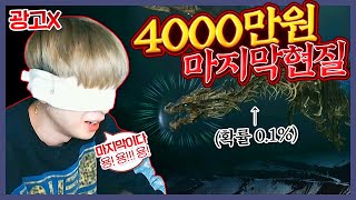 살면서 이런 미친짓은 처음 입니다 오딘 4000만원 탈 것 전설 멸망전