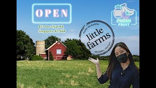 想要购买健康有机食品就到 Little Farm 最新超市！