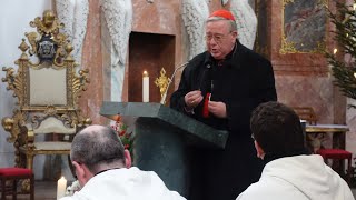 Kardinal Hollerich über den Synodalen Prozess, die Klosterneugründung und Christus