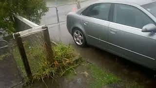 flash flood in Auckland.