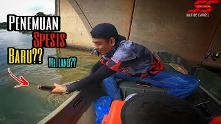 Boating di Wetland Putrajaya | Penemuan Spesis baru