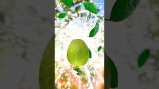 ABUNDANT GUAVA FRUIT #asmr #shorts #satisfying #trending #ytshorts