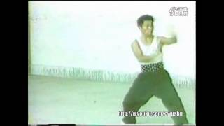 Fujian Wen Quan boxing forms