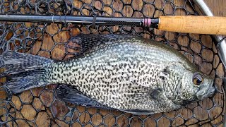 Tenkara Fishing for Crappie \u0026 Bass, Apr 2020