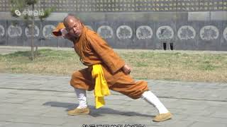 Shaolin small Cannon Hammer  '少林小炮捶' 5/6