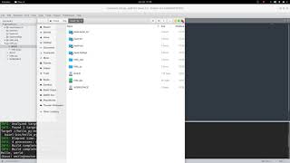 First Python and Shell Targets with Bazel