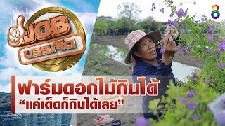 ฟาร์มดอกไม้กินได้แค่เด็ดก็อร่อยได้เลย!! | JOB บรรเจิด | ช่อง8