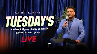 Tuesday's LIVE🔴|Evg. Daniel David  | ಮಂಗಳವಾರ ನೇರ ಪ್ರಸಾರ | செவ்வாய்கிழமை நேரடி ஒளிபரப்ப | 14/01/25