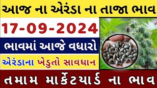 Arenda na bhav  | 17-12-2024 l એરંડા ના આજના ભાવ | Rajkot marketing yard and Patan marketing yard