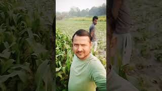 Viral reel Makka Khet Mein video #bollywood Roshan ji Madhepura Bihar