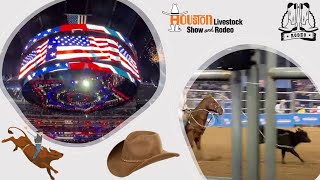 Actions Seats Experience, Houston Livestock Show & Rodeo