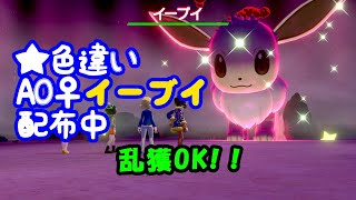 【ポケモン剣盾】★色違いレイド配布　A0♀イーブイ【順番制自動配布】