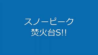 スノーピーク！！　焚火台S!!