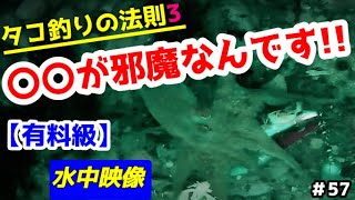 抱いてきても掛からない理由はコレ!!【タコ釣り】【船タコ】【水中映像】【ゴーフィッシュカム】