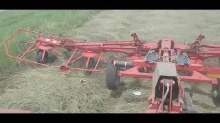 Teddering Hay with Kuhn GF7802TGII and Kubota M135GX