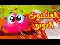 العنكبوت النونو - قناة بلبل BulBul TV