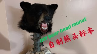 NB猎导（70）第一次尝试做熊头标本，DIY bear head mount