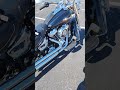 2019 softail deluxe idle motorcycle harleydavidson harley usa